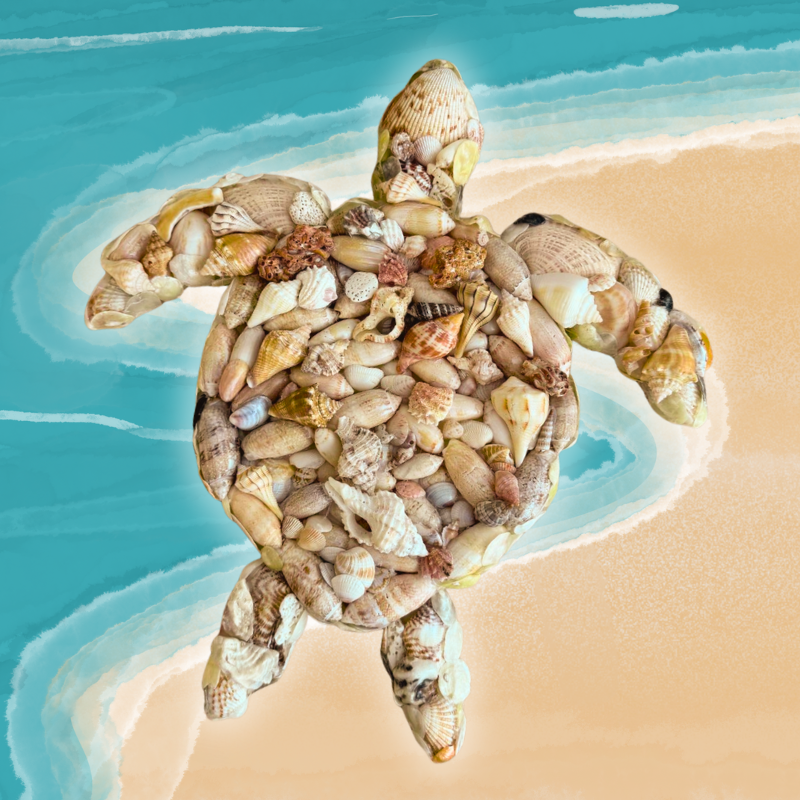 Sip, Shell & Create at Shoreline Cafe event