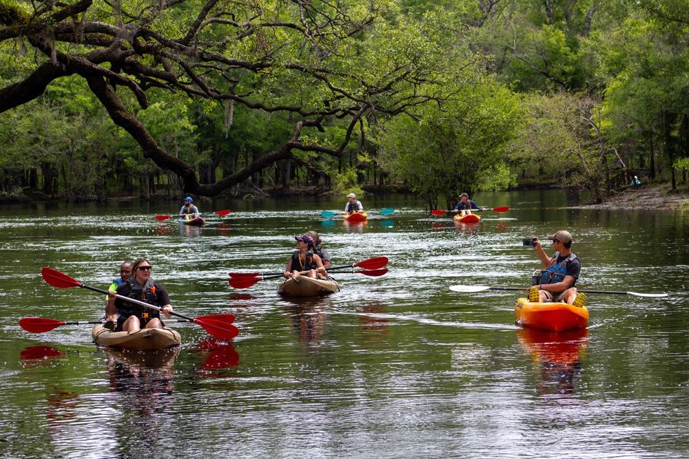 A group of people are kayaking on a serene river surrounded by lush greenery. The kayaks are various shades of brown and red, and each person is equipped with a red paddle