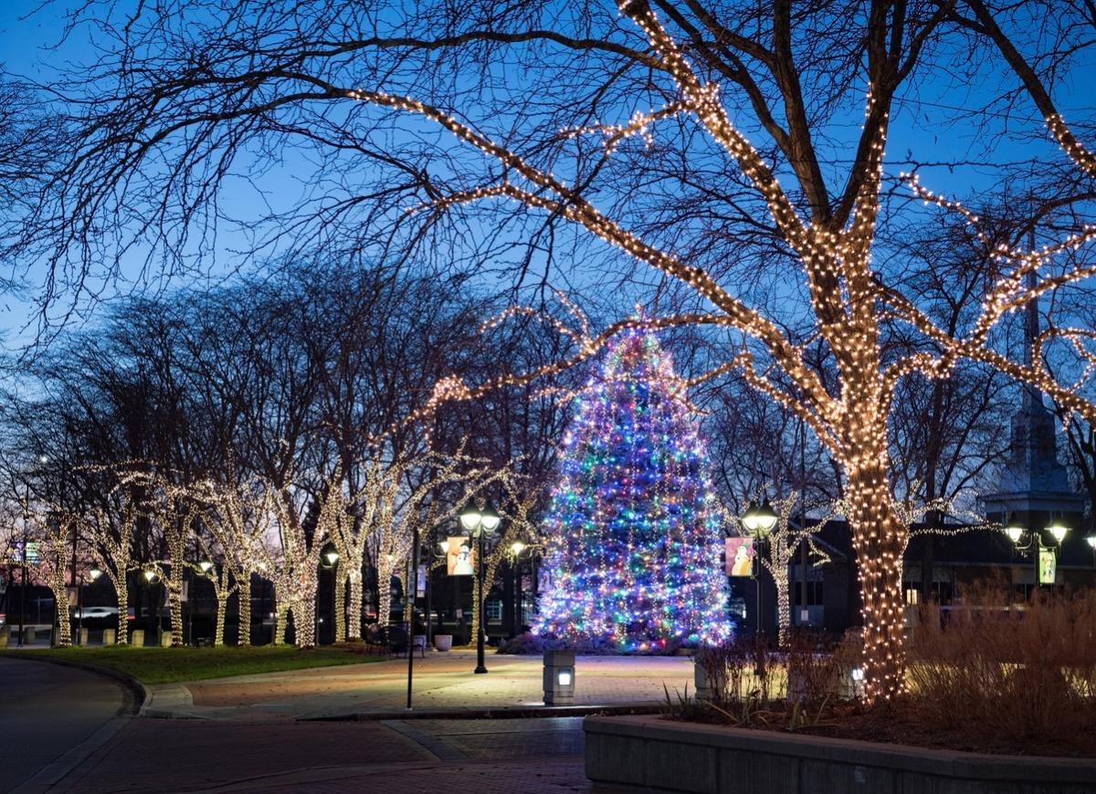 Colorful Christmas tree and twinkling lights decorating trees in a park at dusk, creating a winter atmosphere.